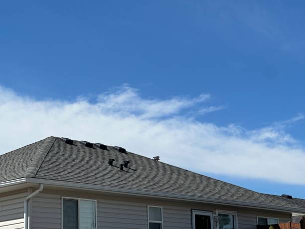 Fast & Reliable Emergency Roof Repairs in Elk River, MN